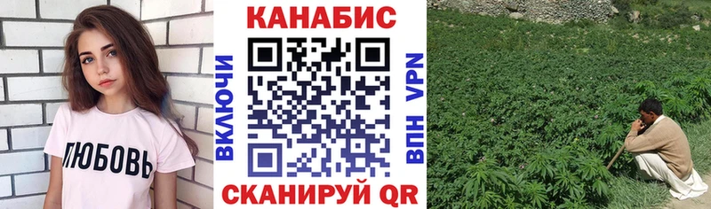 где купить наркоту Новый Оскол Каннабис Amnesia